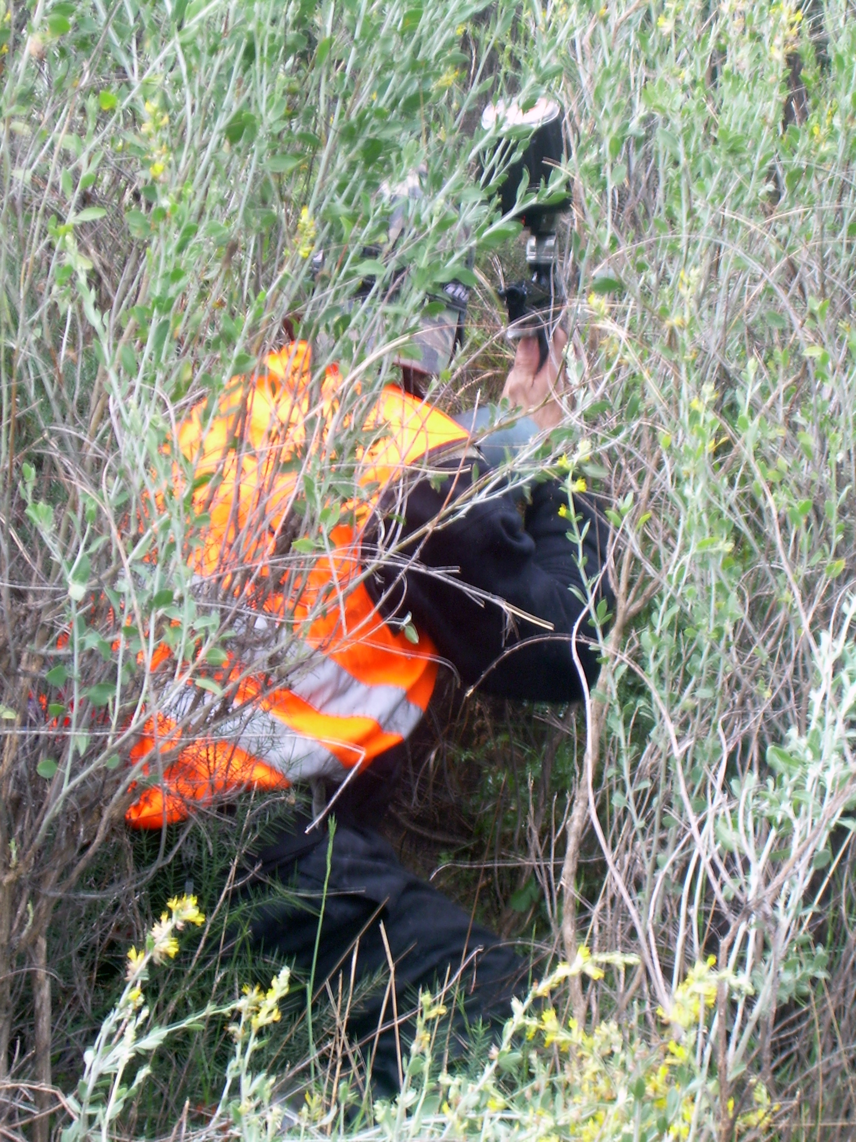 Fotografía DSCN0594 en el álbum Ribesalbes 2007